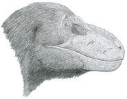 Illustration by Tomopteryx depicting a Nanuqsaurus.