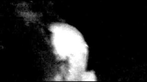 Murmansk Creature | Cryptid Wiki | Fandom