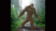 Bigfootimage1