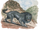 Hadjel (cryptid)