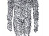 Barmanu