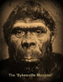 Sasquatch-sykesville3.jpg