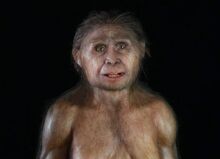 Homo.jpg