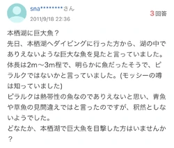 Original 2011 report