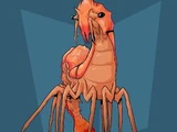Giant Shrimp in the Laundry Room