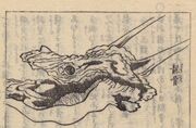Dragon Skull of Minamisho Village