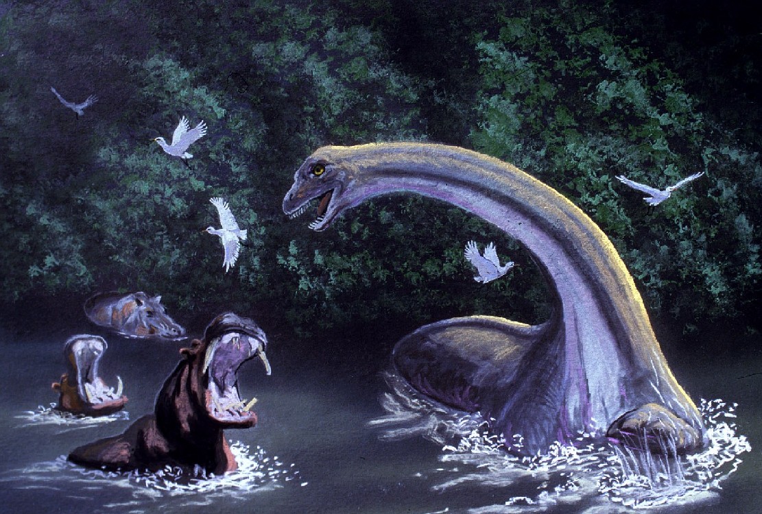 Mokele Mbembe, is it real? #mokelembembe #cryptids #nature