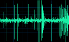 Echolocation-ampl