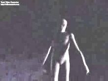 Tall whites.jpg