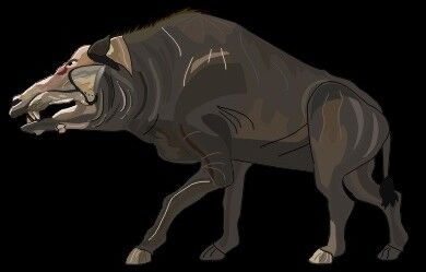 Entelodon.jpg