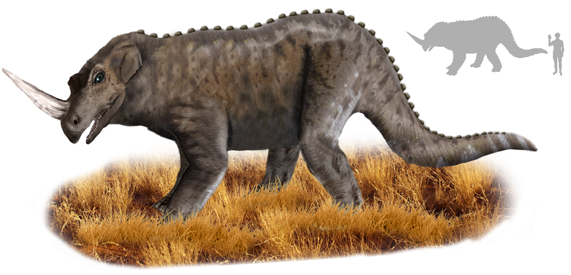 Mokele-Mbembe: The African Cryptid Enigma Explored - Mokele Mbembe