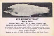 Fur-bearing-trout