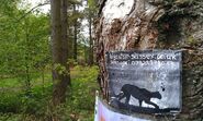 A sign asking for information on big cat sightings in Sussex, England