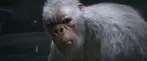 A Yeti depicted in the Goosebumps film