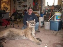 Eastern puma extinct hoax outlet