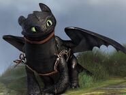 Toothless from How to train your dragon