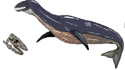 Cotw 128 pressie by trendorman-dbau2ol