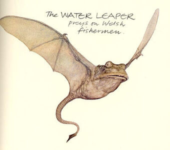 Water leaper.jpg