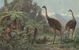 The Giant Moa