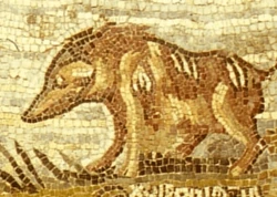 Choiropithik mosaic