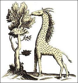 Leopard camel.jpg