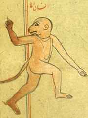 Monkey humanoid jinn