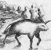 Camahuet.jpg