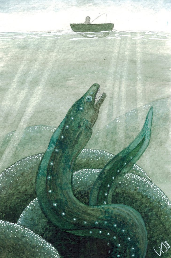 giant eel eats dog