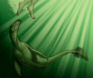 The cryptid of Altamaha river in Georgia