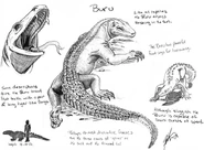 Buru.jpg (124 KB) The Buru