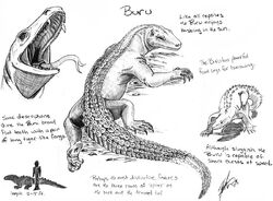 Buru