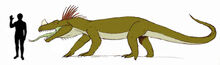 Chipekwe