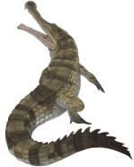 Sarcosuchus transparent