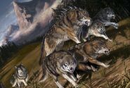 Dire Wolves (Pathfinder)