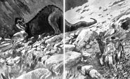 The Partridge Creek Monster as depicted in the original publication.