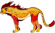 ForAdoptionFireCheetah-1-1-1.jpg