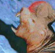 Iceborer2.png