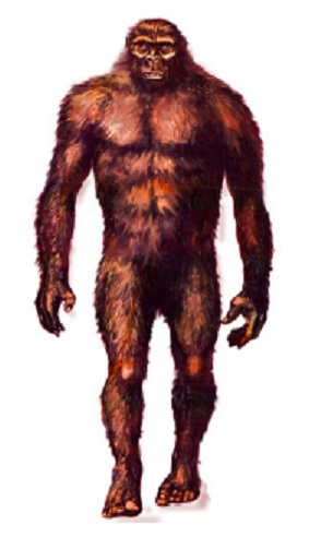 2-yeren.jpg