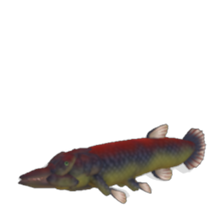 A gar.png