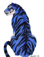 Blue tiger