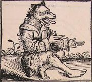 Doghead.jpg