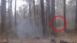 Supposed Mogollon Monster Sighting. Notice the dark shape circled.