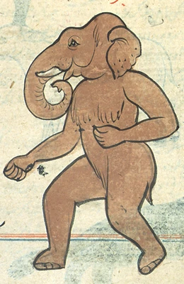 Close-up of the Elephant "Jinn"