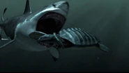 Megalodon