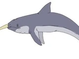 Southern Narwhal