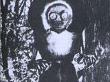 Flatwoods Monster