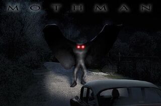 Mothman071207a 1