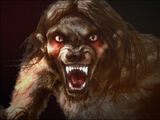 Werewolf