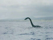 Plesiosaur8