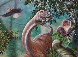 Cryptids: Folklore or More? - Mokele Mbembe and the Possibility
